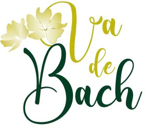 VadeBach.org