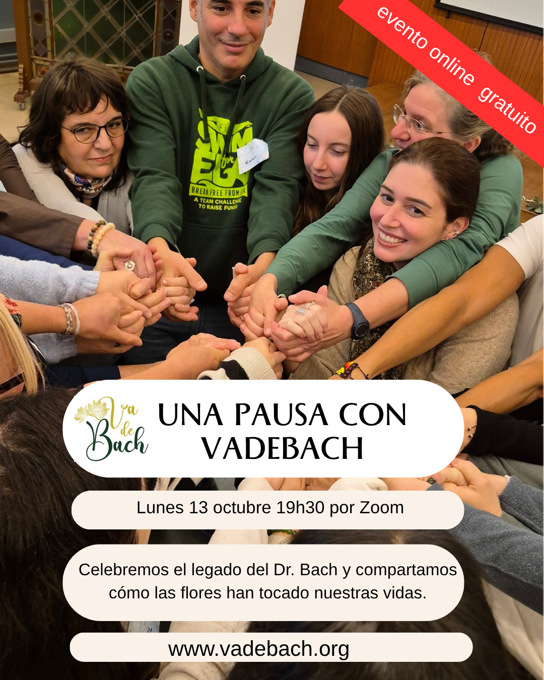 una pausa con vadebach encuentro para amantes de las flores de Bach